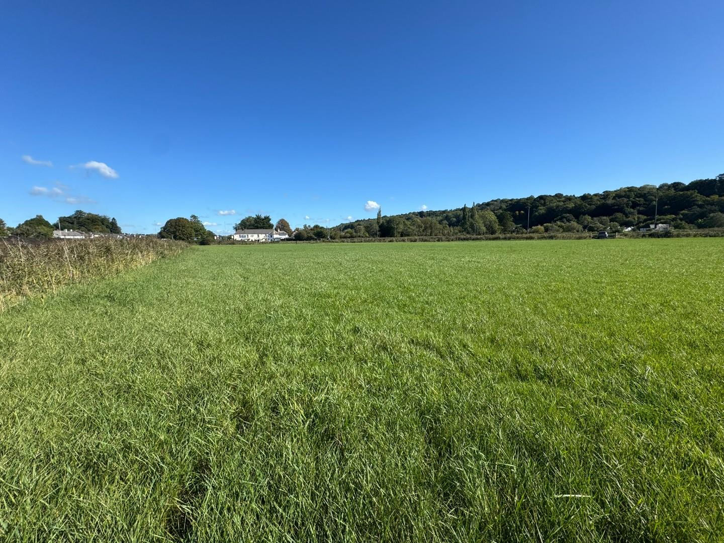 Approx 8.94 acres of land on East and West of Caerleon Road, Caerleon, Newport NP18 1QB